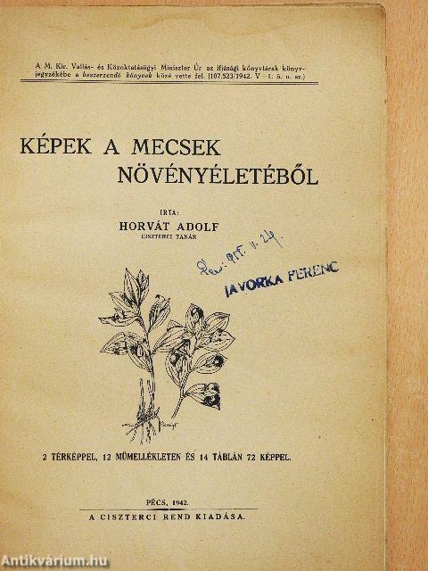 Képek a Mecsek növényéletéből