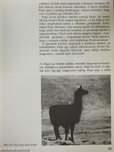 Pepe a Királyok Városában