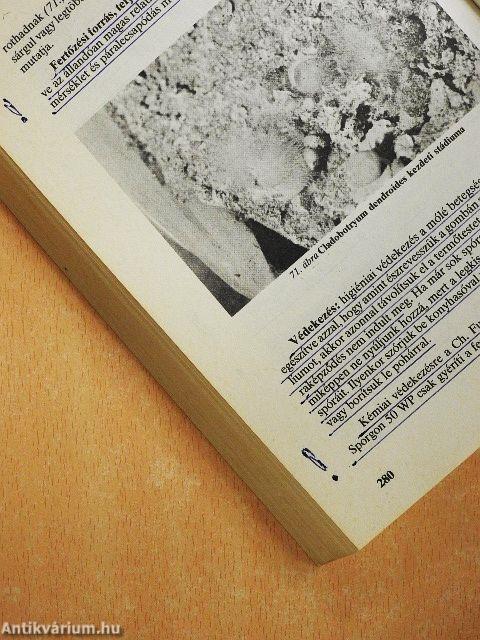 A csiperke, a laska és más gombák termesztése