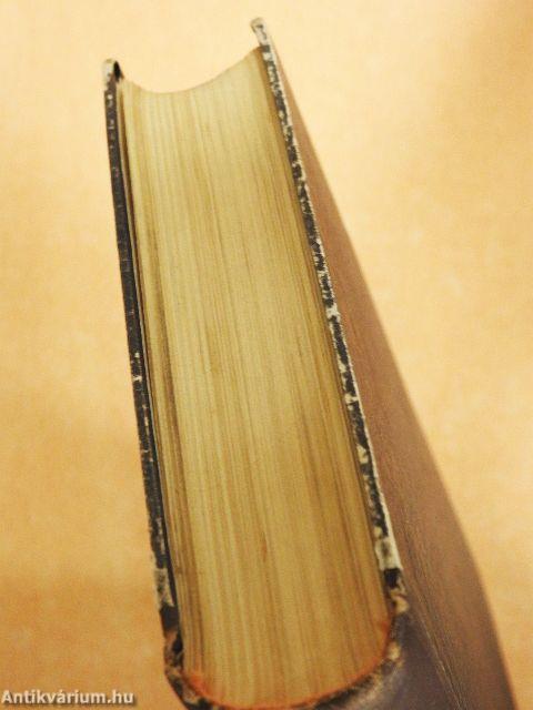 Az elvarázsolt lélek I-II.