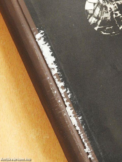 Az elvarázsolt lélek I-II.