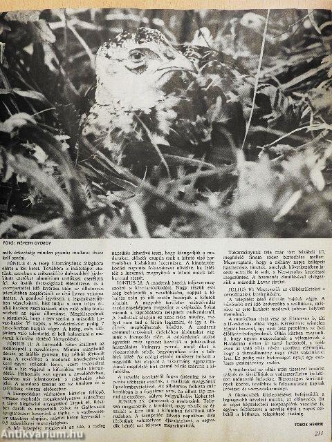 Nimród 1977. január-december