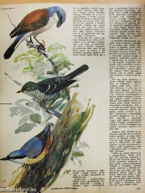 Nimród 1977. január-december