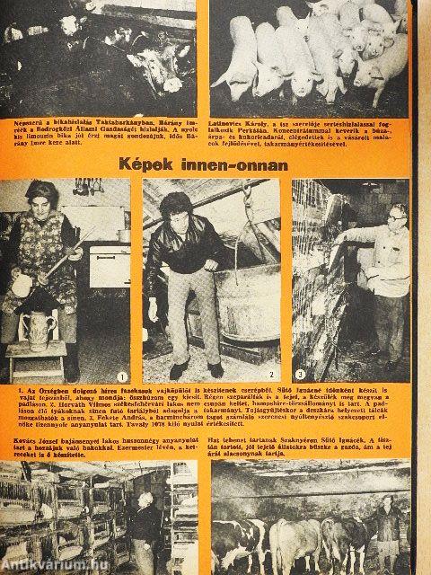 Kistenyésztők Lapja 1986. január-december