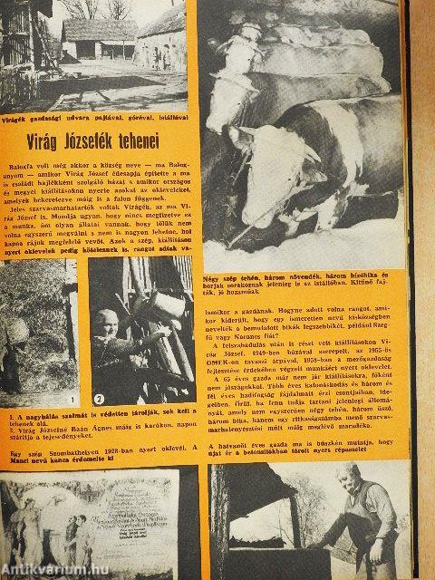 Kistenyésztők Lapja 1985. január-december