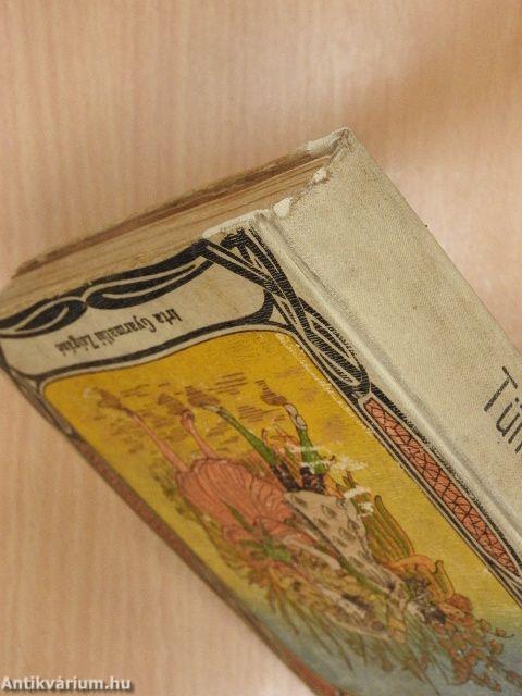 Tündér király fia, lánya