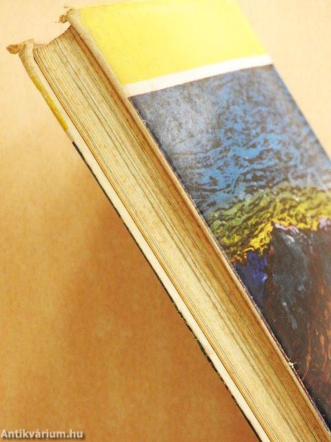 Öszvérrel Etiópiában