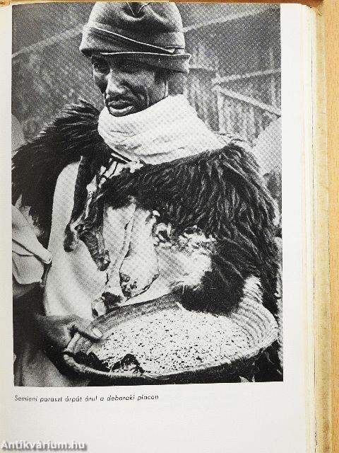 Öszvérrel Etiópiában