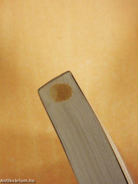 Budavár bevétele 1849-ben I-II.