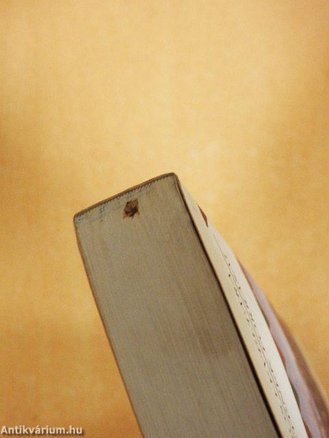 Budavár bevétele 1849-ben I-II.