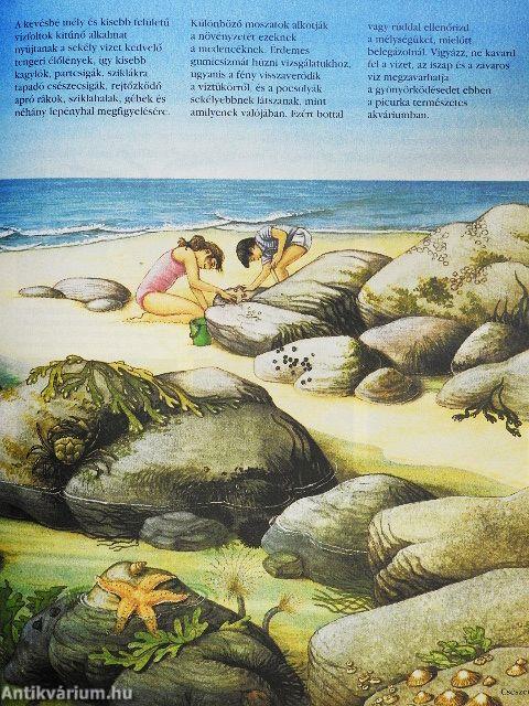 Természet Nagy Enciklopédia