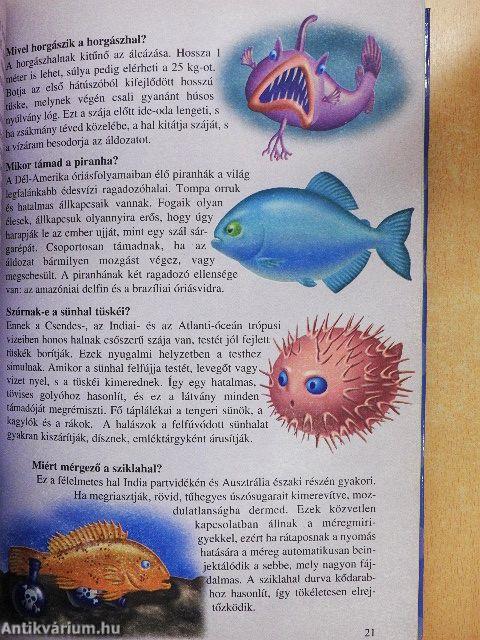 Tudod-e? - Érdekességek az állatvilágból