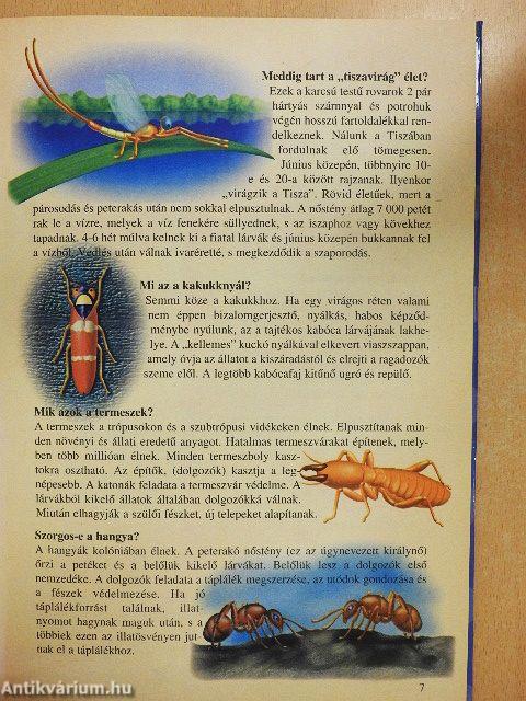 Tudod-e? - Érdekességek az állatvilágból