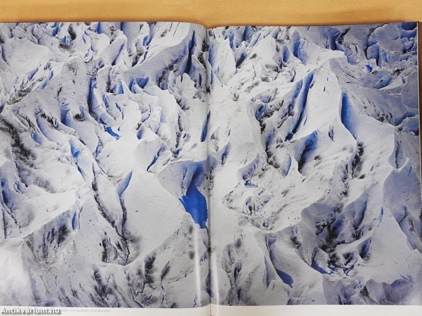 Latin-Amerika a kondorkeselyű szemével