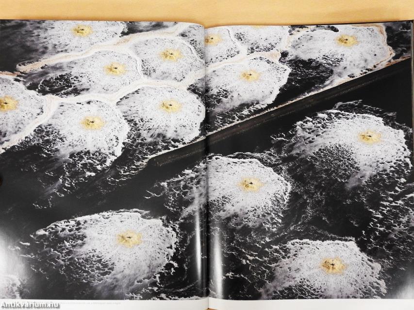 Latin-Amerika a kondorkeselyű szemével