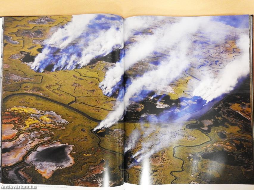 Latin-Amerika a kondorkeselyű szemével