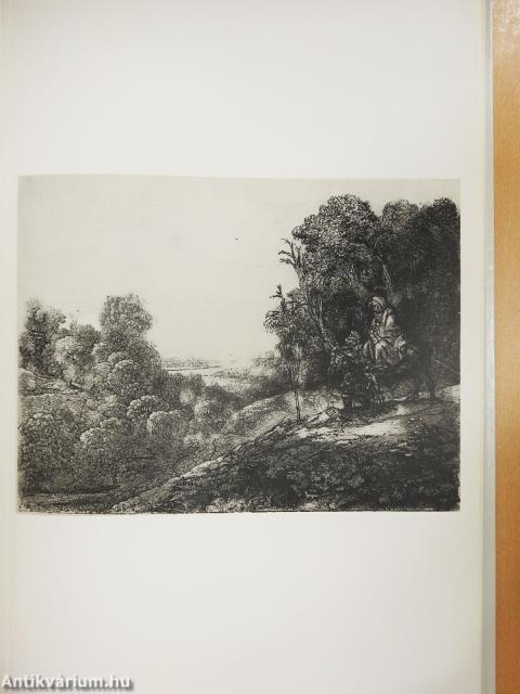 Rembrandt és a Biblia