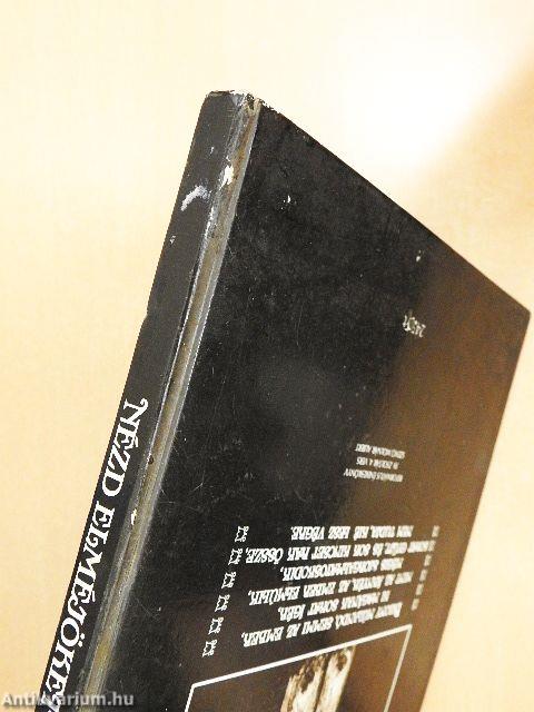 Nézd elméjöket az ács embereknek