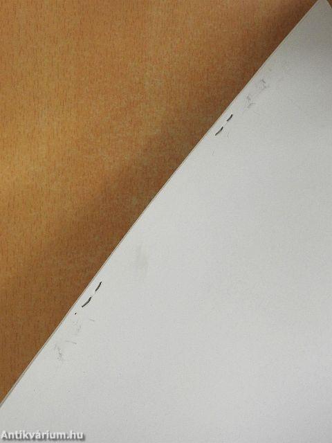 A gyakorlatlan megszálló - Az amerikai nácitlanítási politika Németországban