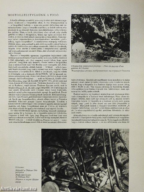 Művészet 1967. január-december