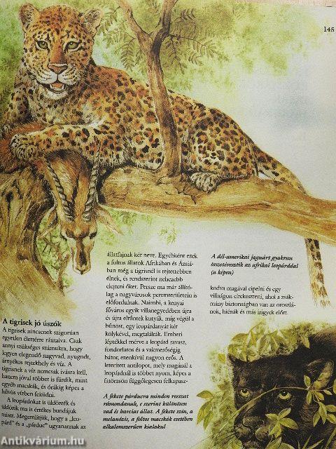 Ezerarcú állatvilág