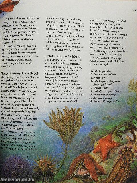 Ezerarcú állatvilág