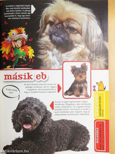 Suli Tappancs másodikosoknak 179.