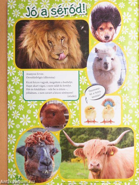 Suli Tappancs másodikosoknak 179.