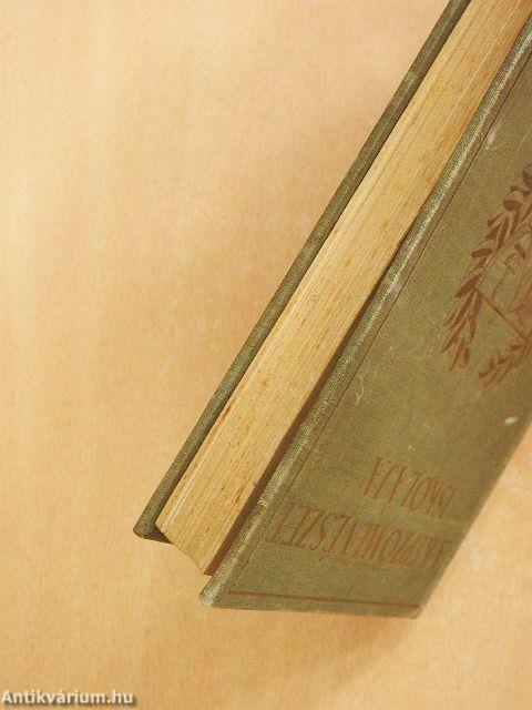 A képzőművészet iskolája