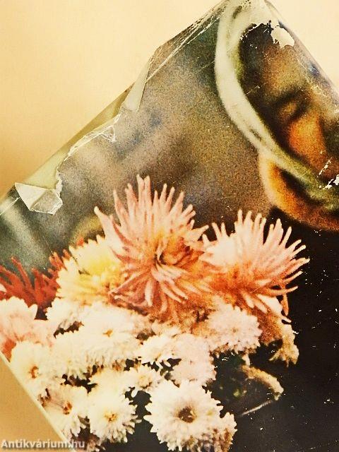 Képes virágábécé