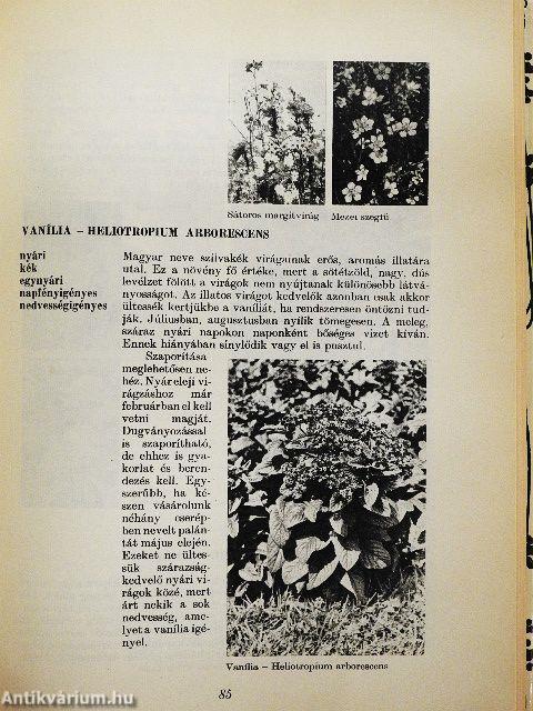 Képes virágábécé