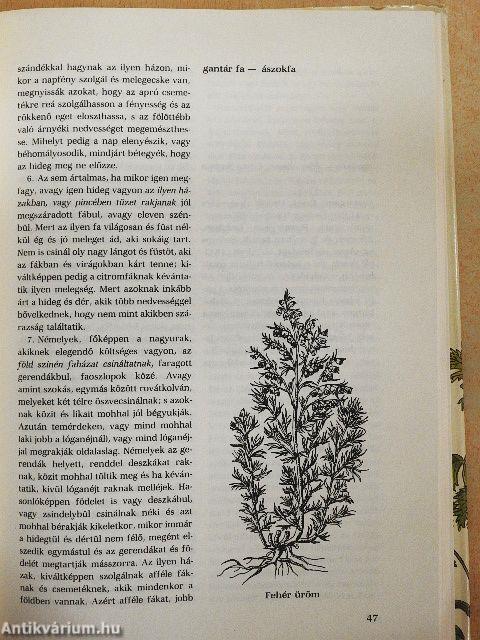 Magyar biokertek a XVII. században