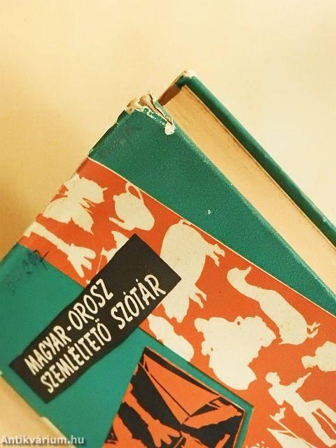 Magyar-orosz szemléltető szótár