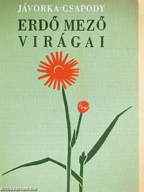 Erdő mező virágai 