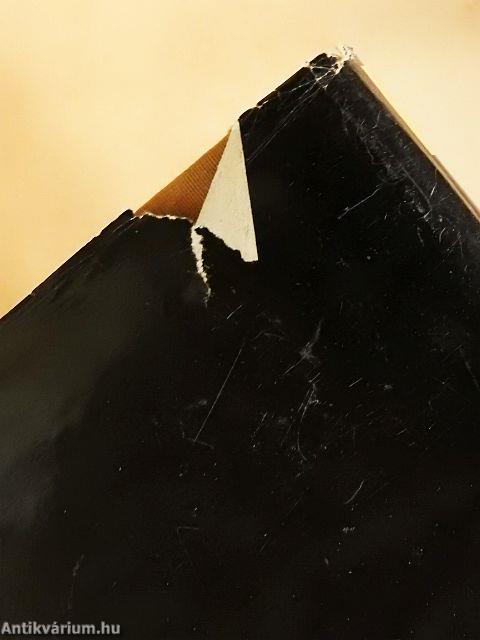 Kisregények/Az Artamonovok