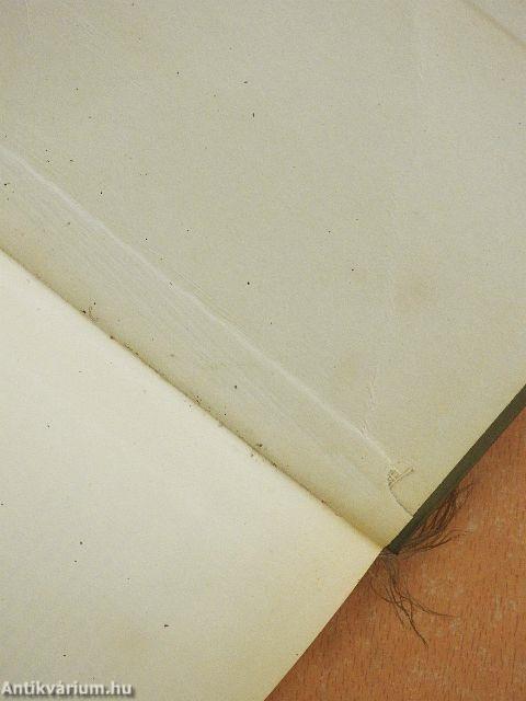 Lételméleti vizsgálódások