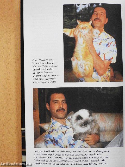 Freddie Mercury élete saját szavaival