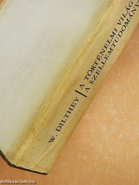 A történelmi világ felépítése a szellemtudományokban