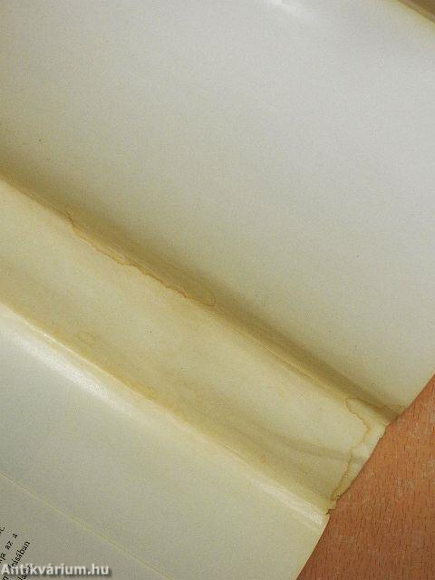 A történelmi világ felépítése a szellemtudományokban