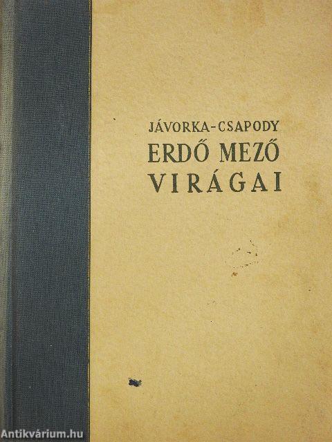 Erdő mező virágai