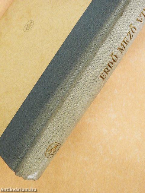 Erdő mező virágai