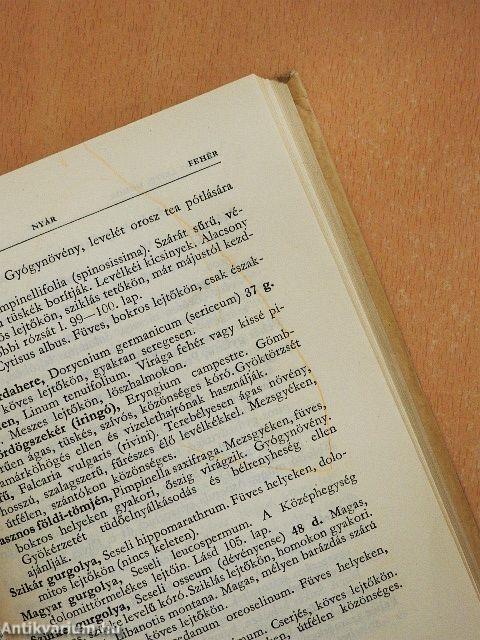 Erdő mező virágai