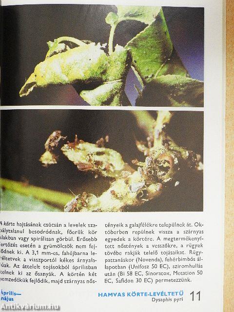 A kerti károsítókról