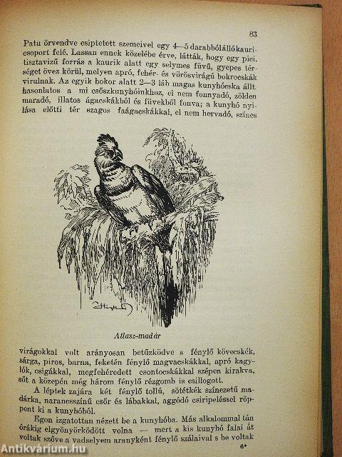 Őserdőkön, tengereken