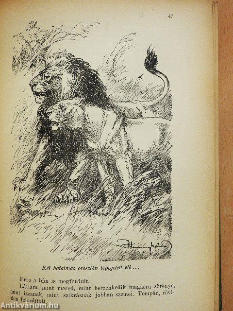 Őserdőkön, tengereken