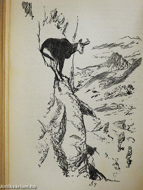 Kárpáti vadászatok