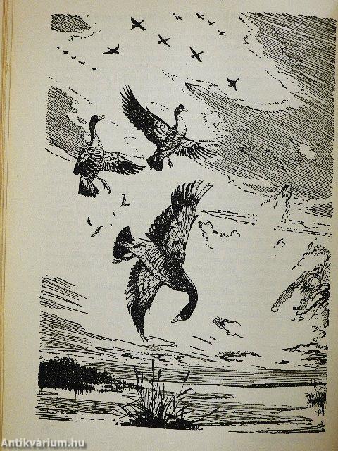 Kárpáti vadászatok