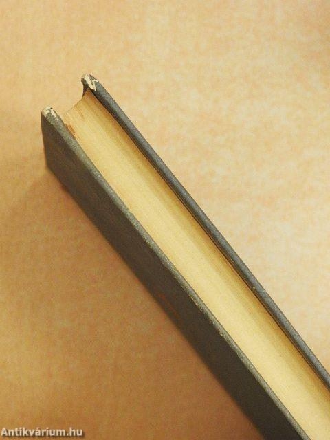 Egy jóházból való úrilány emlékei