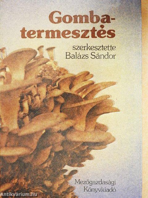 Gombatermesztés