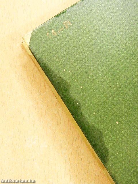 Ez történt az Ifjú Gárdával